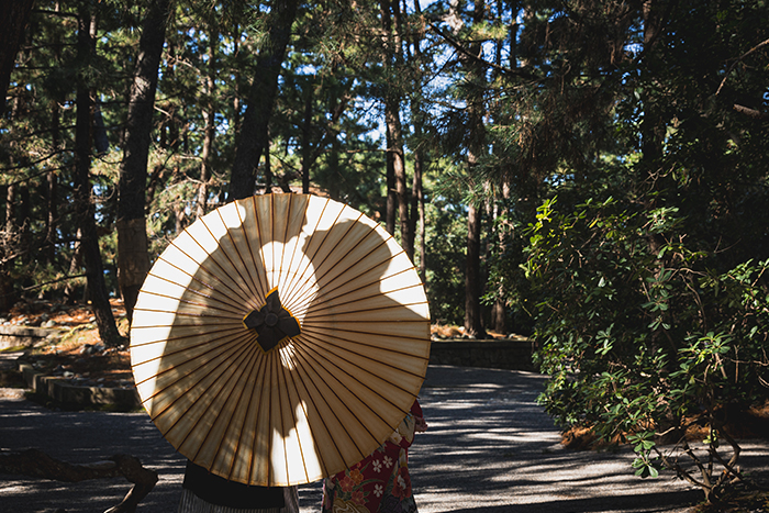 撮影レポートNo.79-10